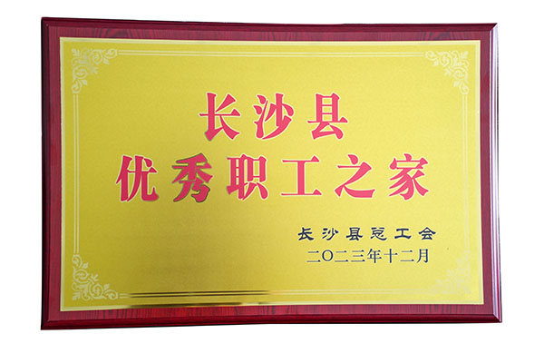 頂立工會(huì)榮獲“長(zhǎng)沙縣優(yōu)秀職工之家”稱號(hào).jpg