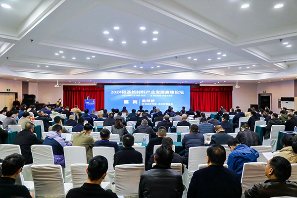 頂立科技參加硅基新材料高峰論壇，分享高純石英制備熱工裝備最新技術(shù) (2).jpg