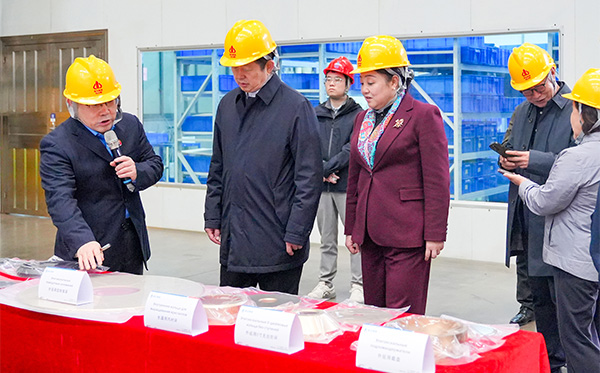 民革中央副主席谷振春一行蒞臨頂立科技調(diào)研 (4).jpg 民革中央副主席谷振春一行蒞臨頂立科技調(diào)研 (4).jpg